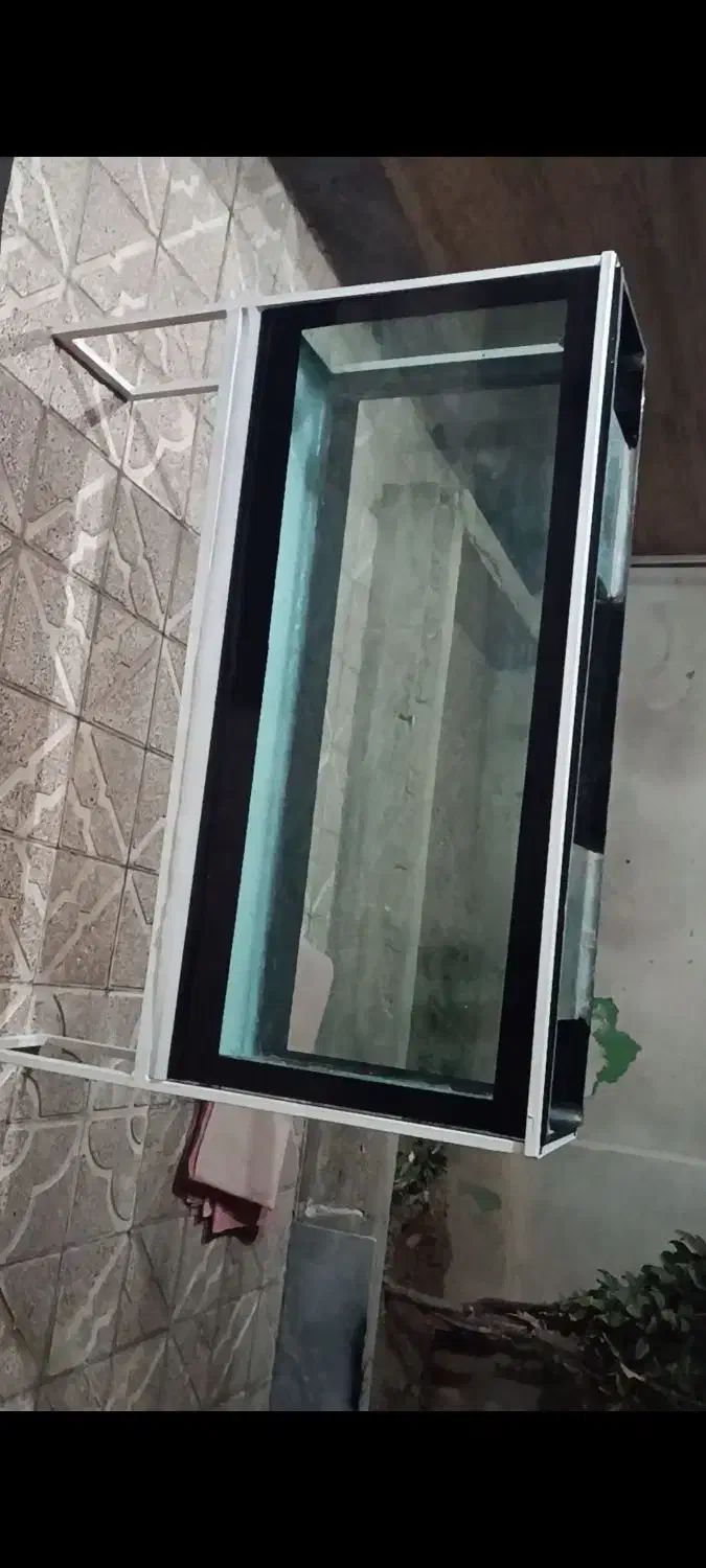 فروش آکواریوم|ماهی|نقده, |دیوار