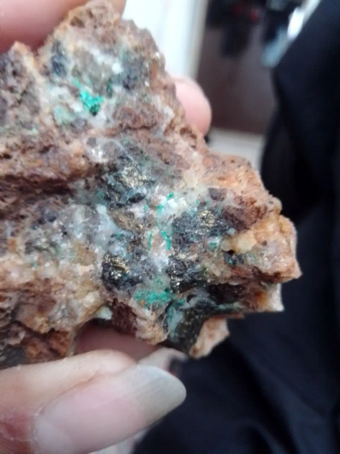 سنگ طلا|جواهرات|تربت‌حیدریه, باغ ملی|دیوار