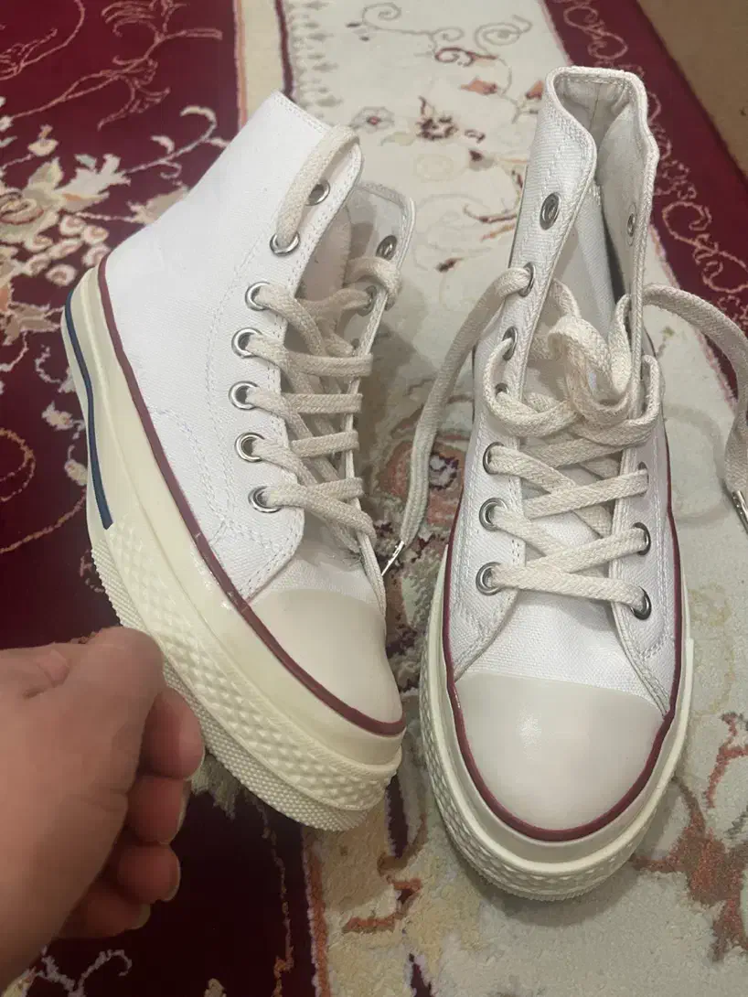 کفش ال استار اصل|کیف، کفش، کمربند|اهواز, کوی پلیس|دیوار