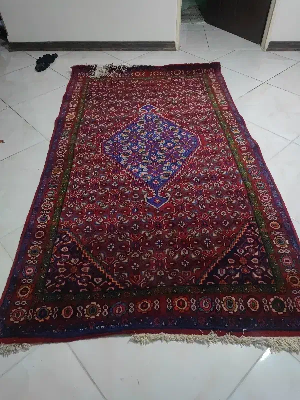 فرش پشم شتر|فرش|تهران, حبیب الله|دیوار