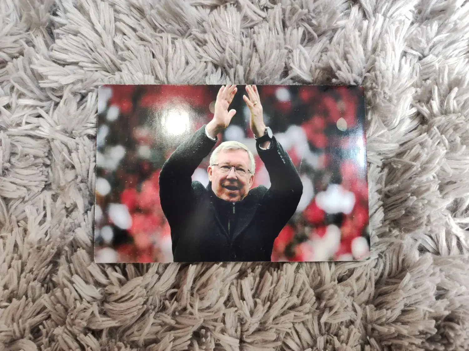 تابلوی سر الکس فرگوسن|تابلو، نقاشی، عکس|تهران, سید خندان (جلفا)|دیوار