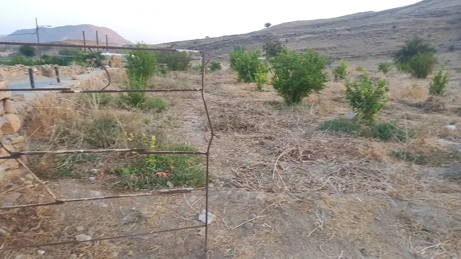 فروش باغ کشاورزی متری یک میلیون تومان. سرپری|فروش زمین و ملک کلنگی|دهدشت, |دیوار