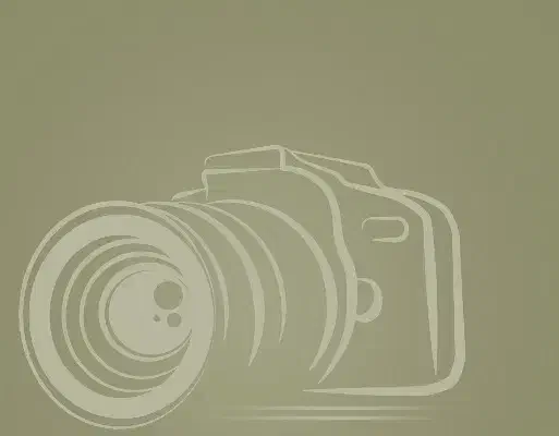 کارآموز برای عکاسی و فیلمبرداری|استخدام هنری و رسانه|کرمان, |دیوار