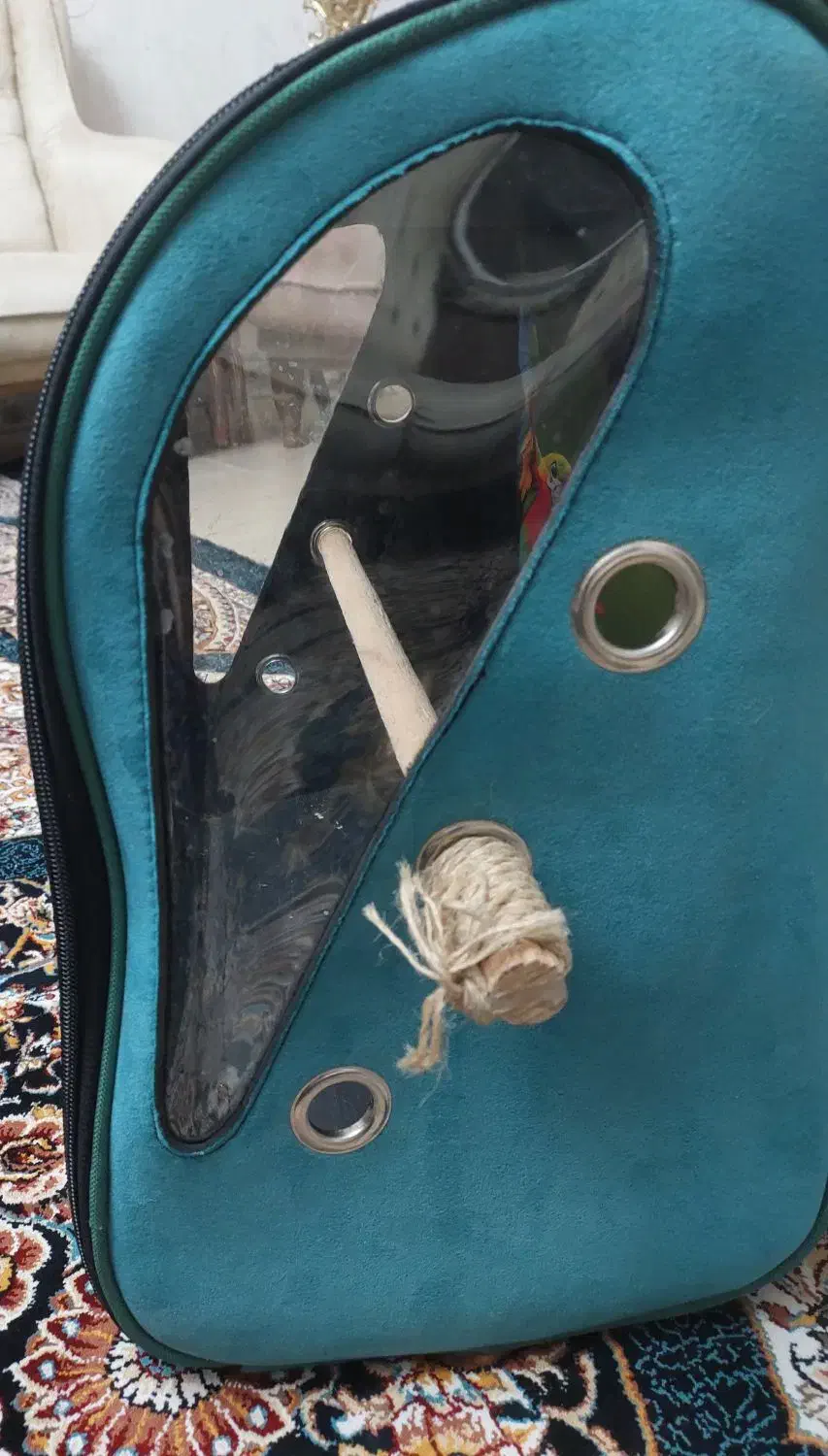 کوله حمل پرنده سالم|لوازم جانبی حیوانات|قرچک, مهدیه|دیوار