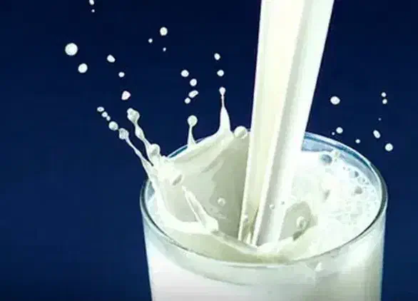 شیر گاو|خوردنی و آشامیدنی|میانه, |دیوار