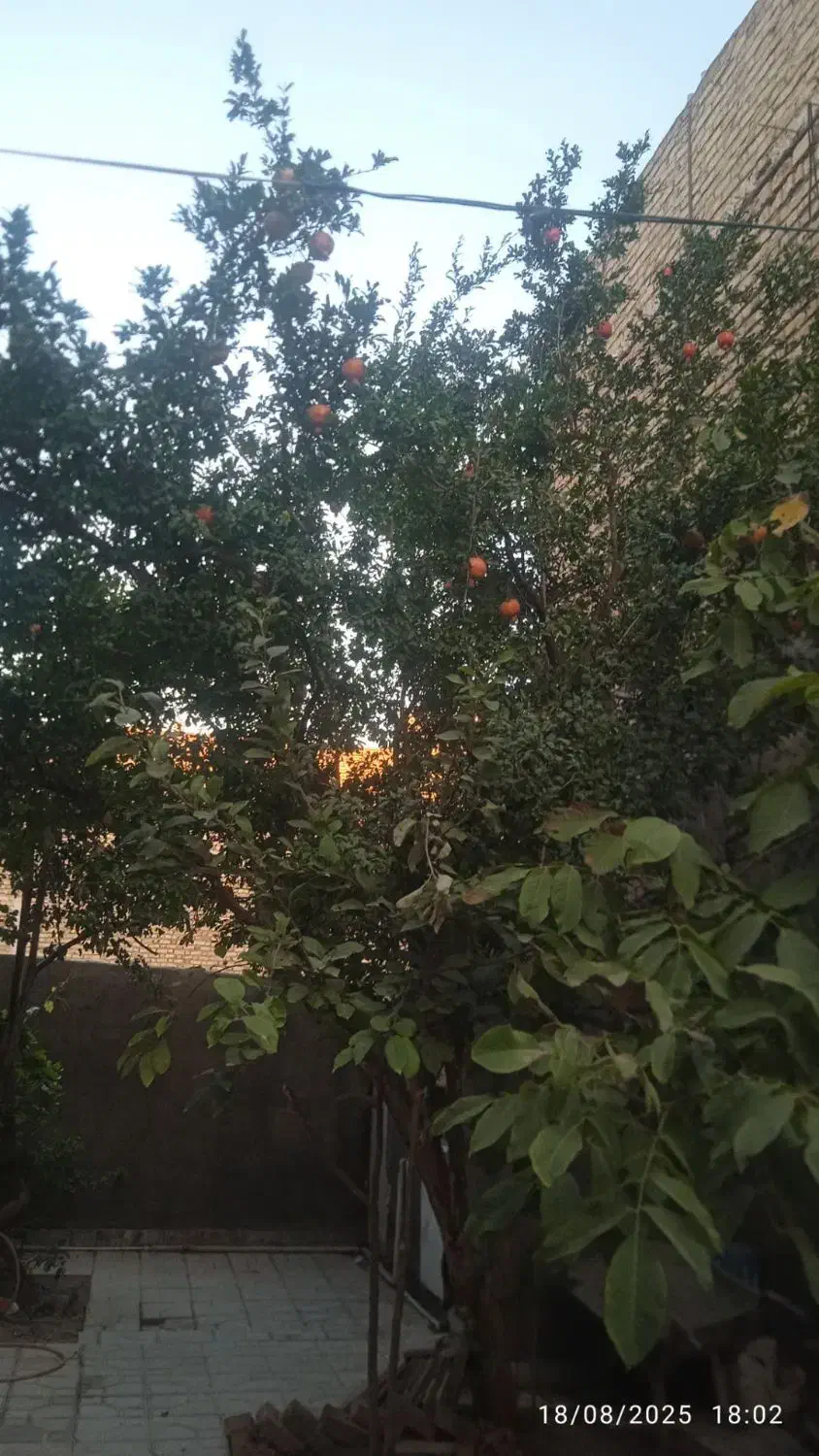 اجاره سوئیت با تمام امکانات در قدمگاه|اجارهٔ کوتاه‌مدت آپارتمان و سوئیت|نیشابور, فضل|دیوار