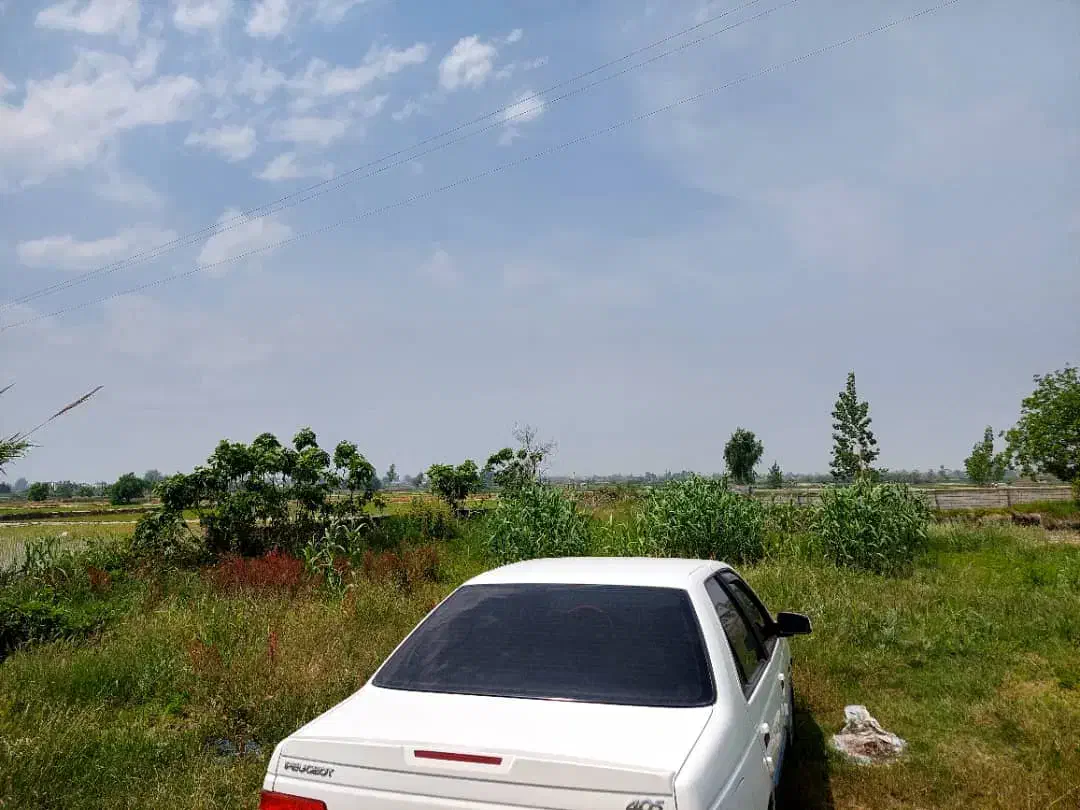 زمین صنعتی بر خیابان اصلی تهاتر دارد|فروش دفتر صنعتی، کشاورزی، تجاری|آمل, |دیوار