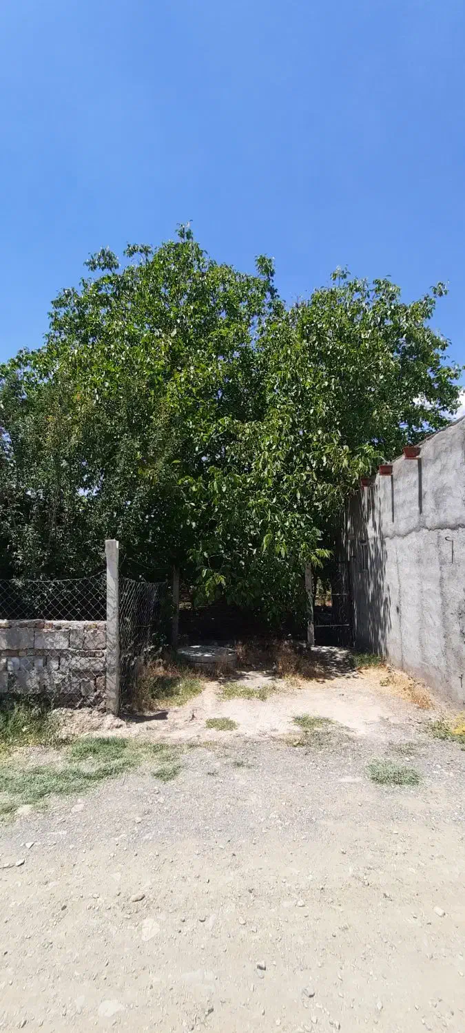 فروش باغ در محدوده ملکان|فروش زمین و ملک کلنگی|ملکان, |دیوار