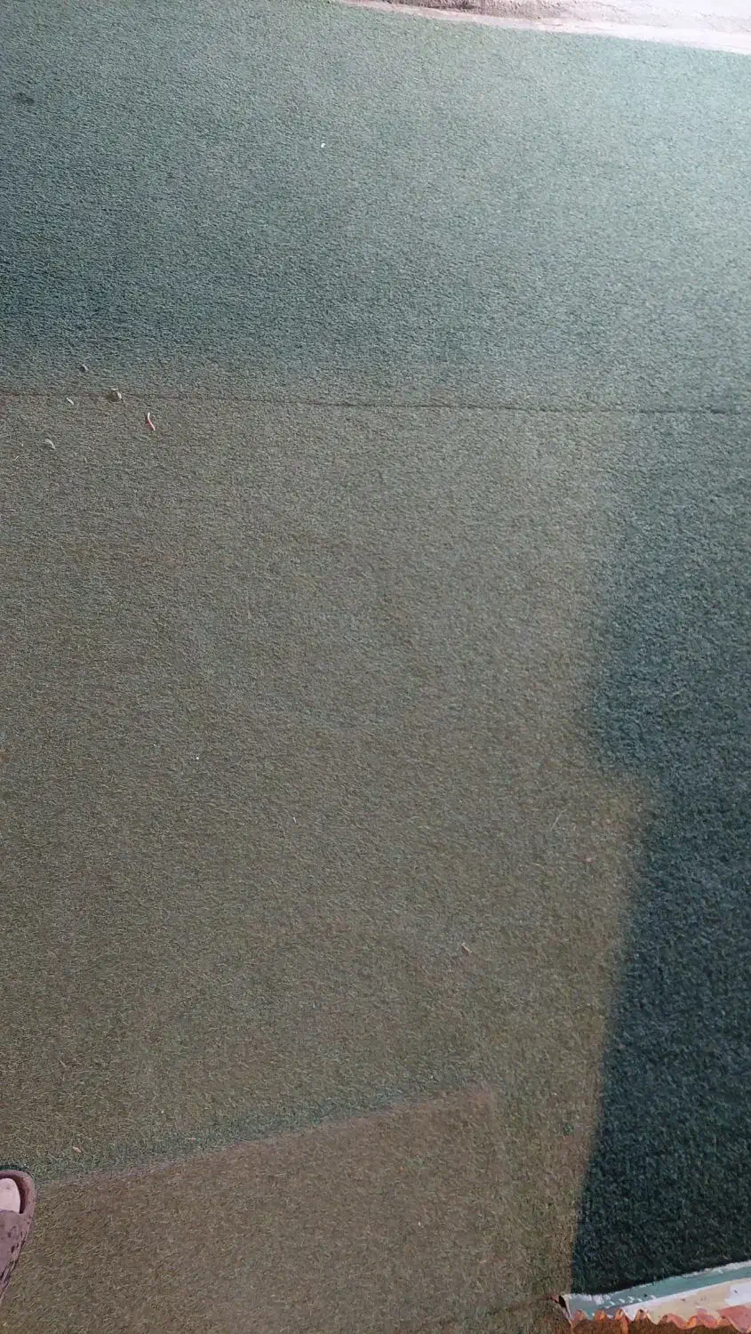 چمن مصنوعی استوک/دست دو/کارکرده/پله|گل مصنوعی|یزد, |دیوار