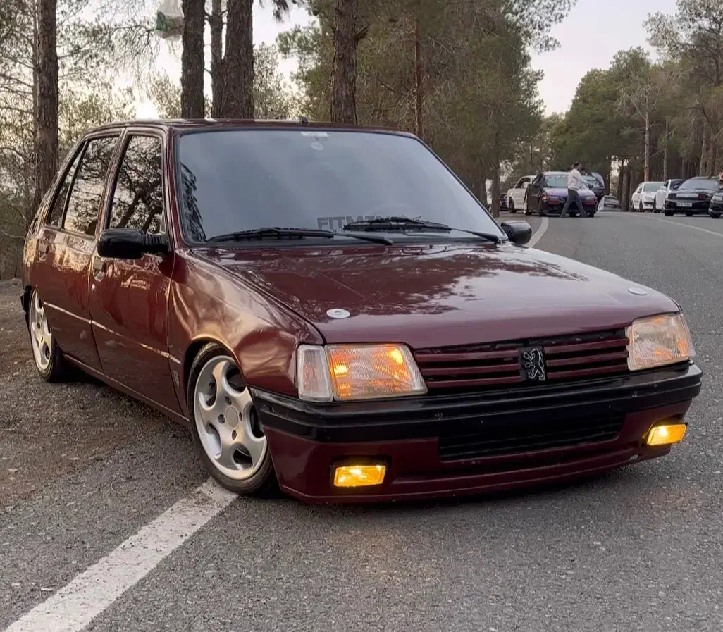 پژو ۲۰۵|خودرو سواری و وانت|تهران, آبشار تهران (دریاچه)|دیوار