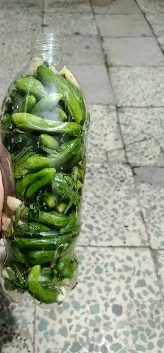 خیار  ریزریز مال سنندج|خوردنی و آشامیدنی|تهران, خزانه|دیوار