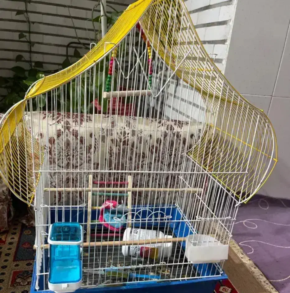 قفس بزرگ پرنده|لوازم جانبی حیوانات|بوشهر, |دیوار