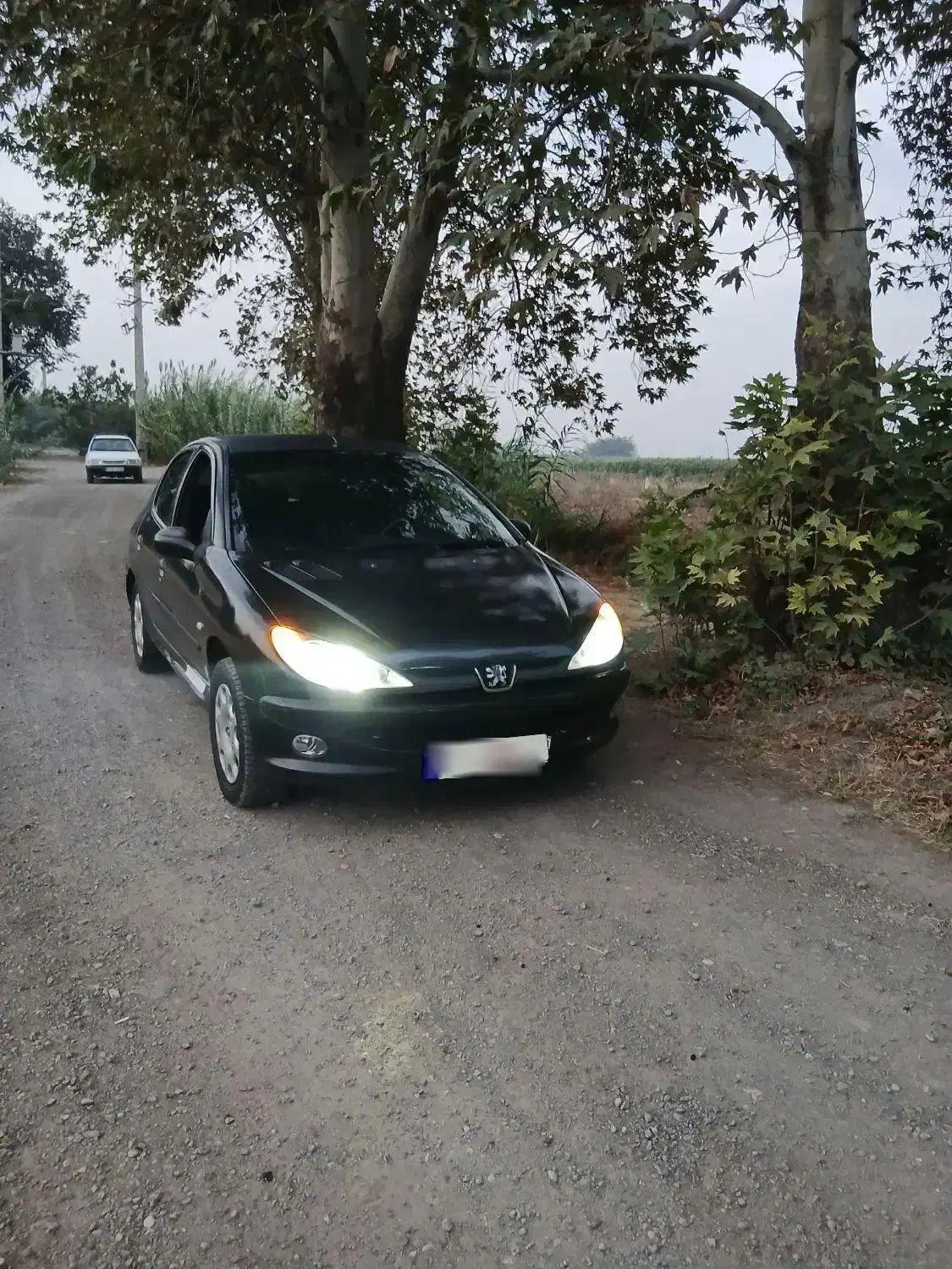 ۲۰۶ مشکی|خودرو سواری و وانت|گرگان, |دیوار