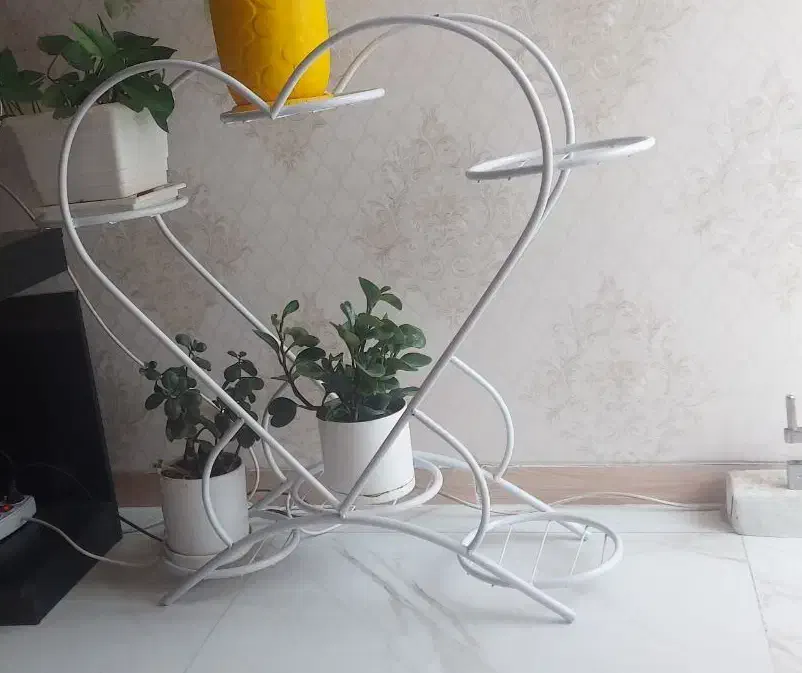 استند گل بدون گلدان|گل و گیاه طبیعی|کرمان, |دیوار