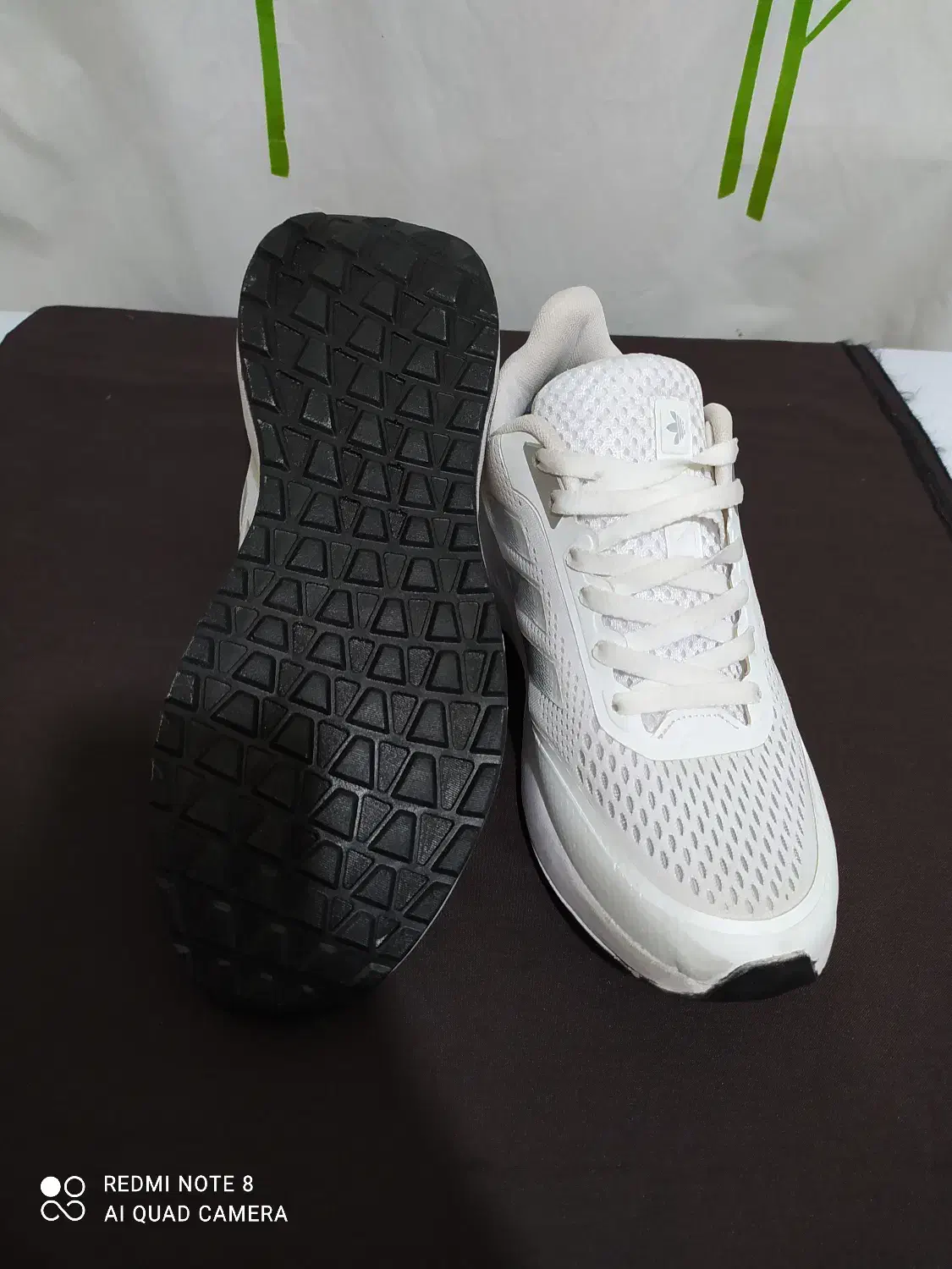 کفش آدیداس|کیف، کفش، کمربند|سمنان, |دیوار