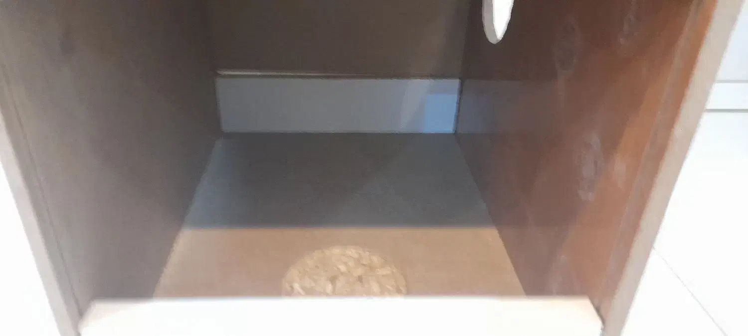 لانه عروس هلندی و طوطی سانان|لوازم جانبی حیوانات|اصفهان, کوی امیریه|دیوار