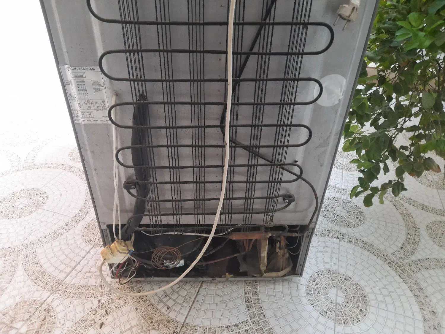 یخچال|یخچال و فریزر|میناب, |دیوار