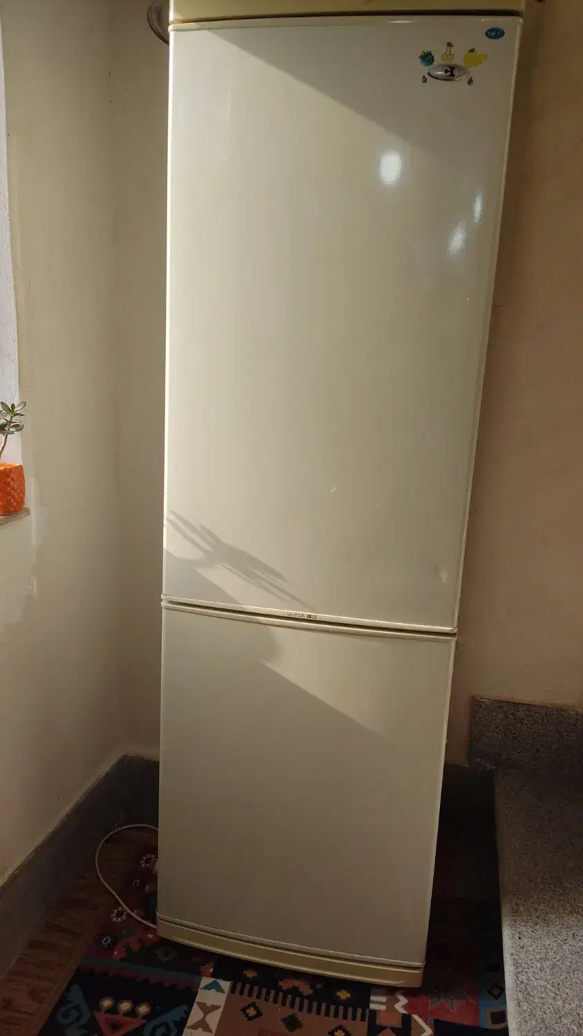 یخچال و فریزر|یخچال و فریزر|لولمان, |دیوار