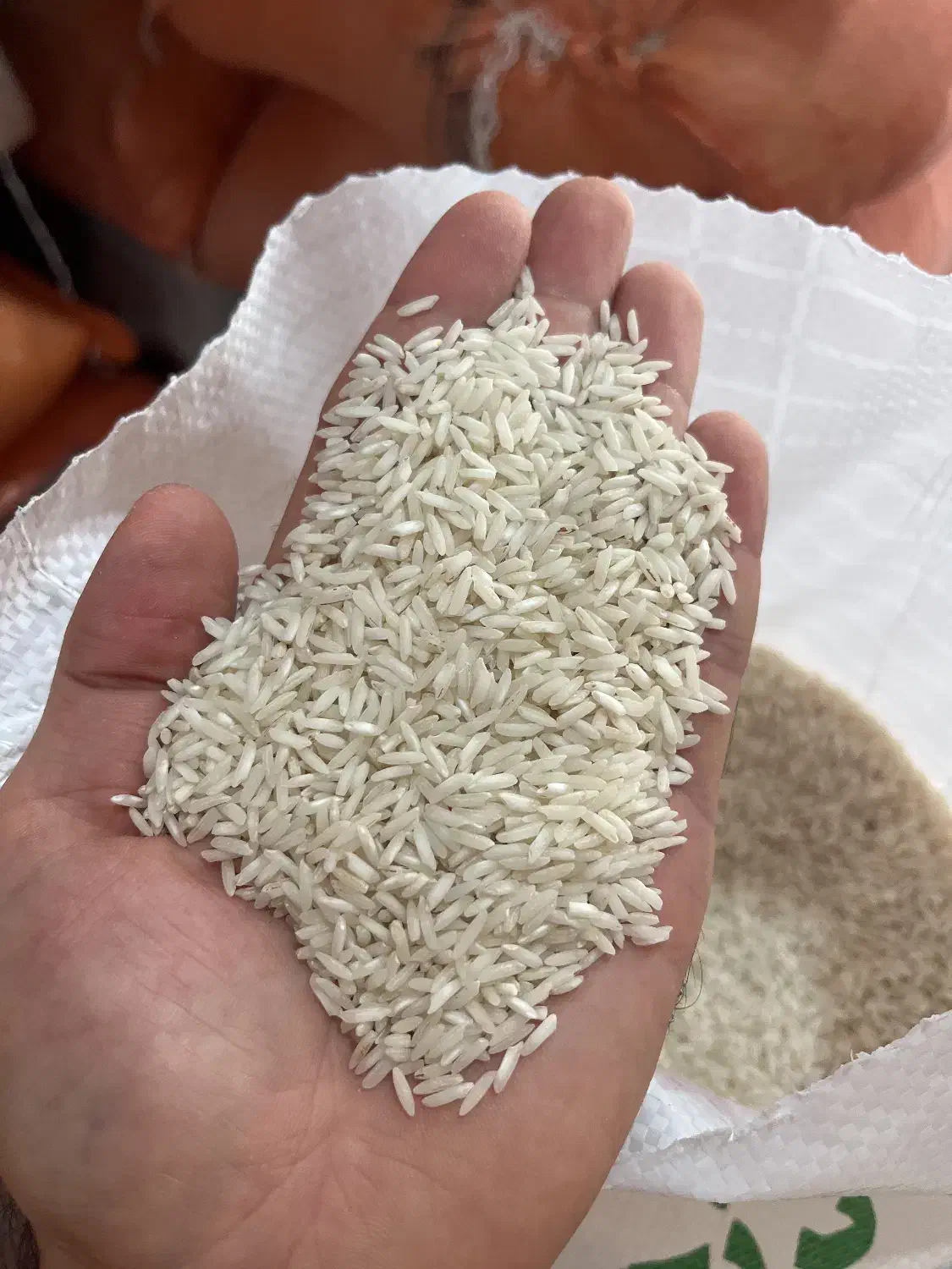 برنج مختار هاشمی سورتینگ شده تازه الک یک|خوردنی و آشامیدنی|پره‌سر, |دیوار