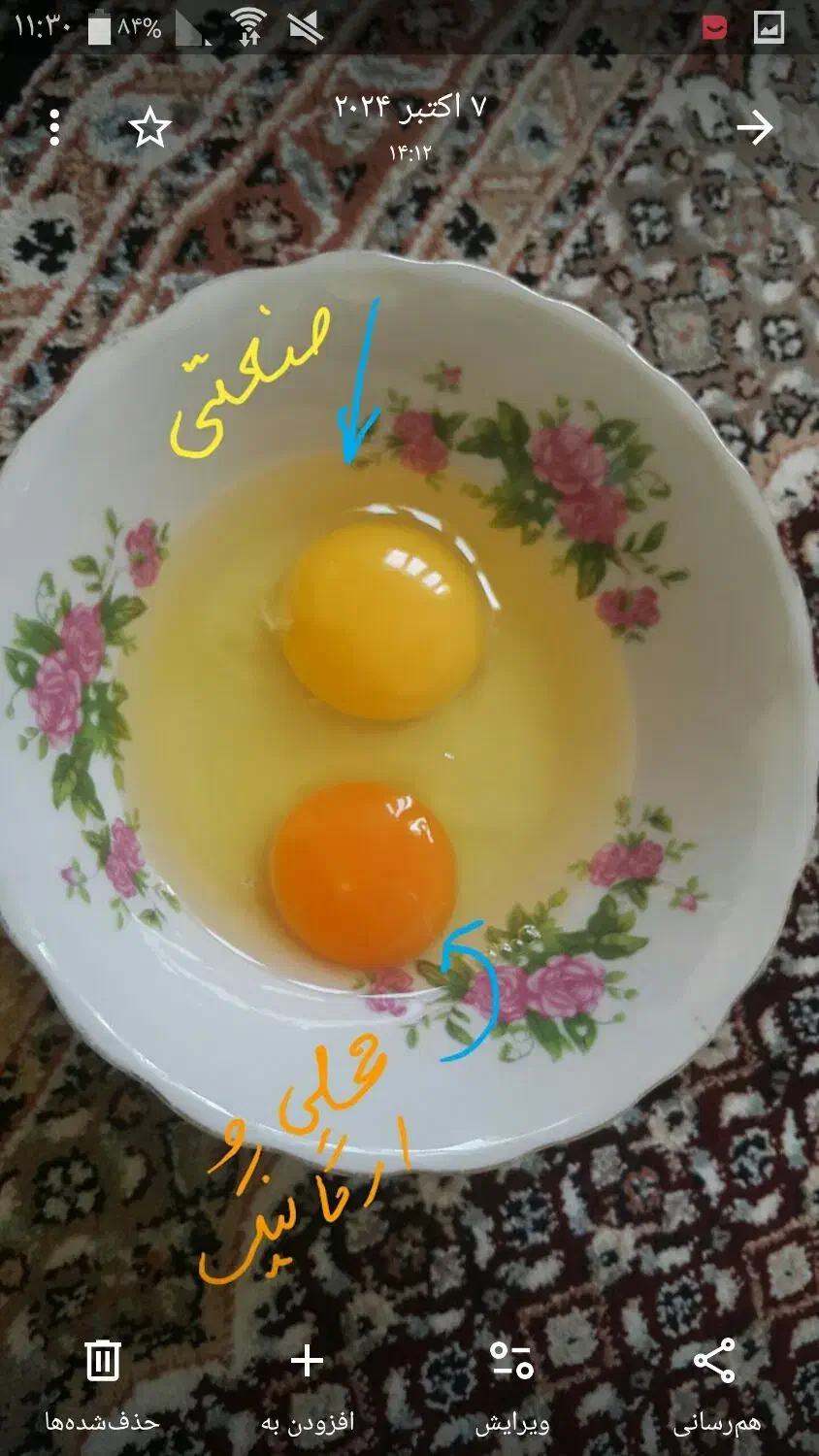 فروش تخم مرغ محلی ارگانیک و تخم بلدرچین|خوردنی و آشامیدنی|سقز, |دیوار