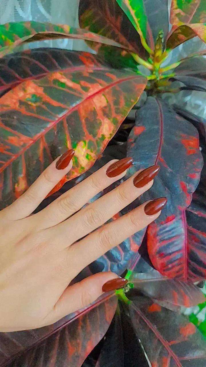 کاشت ناخن198|خدمات آرایشگری و زیبایی|بجنورد, |دیوار