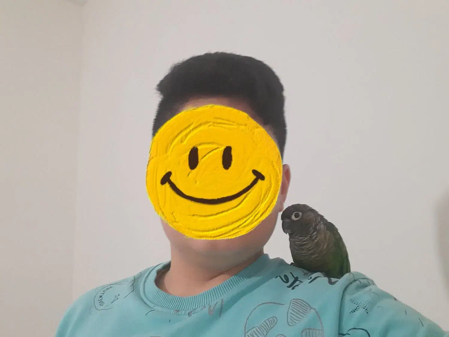 معاوضه طوطی گرینچیک نر سخنگو با خروس لاری|پرنده|کوهدشت, |دیوار