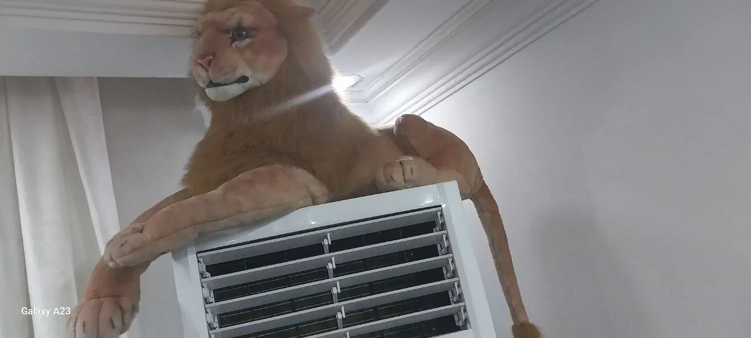 عروسک|اسباب‌بازی بچه|اهواز, بهزاد شهر|دیوار