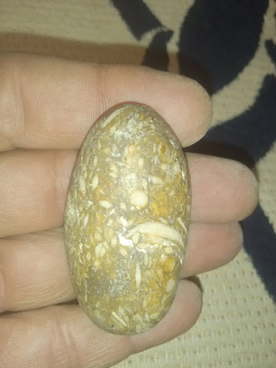 کسی هست بگه اینها چه سنگهای هستند|کلکسیون اشیاء عتیقه|شیراز, حومه شیراز|دیوار