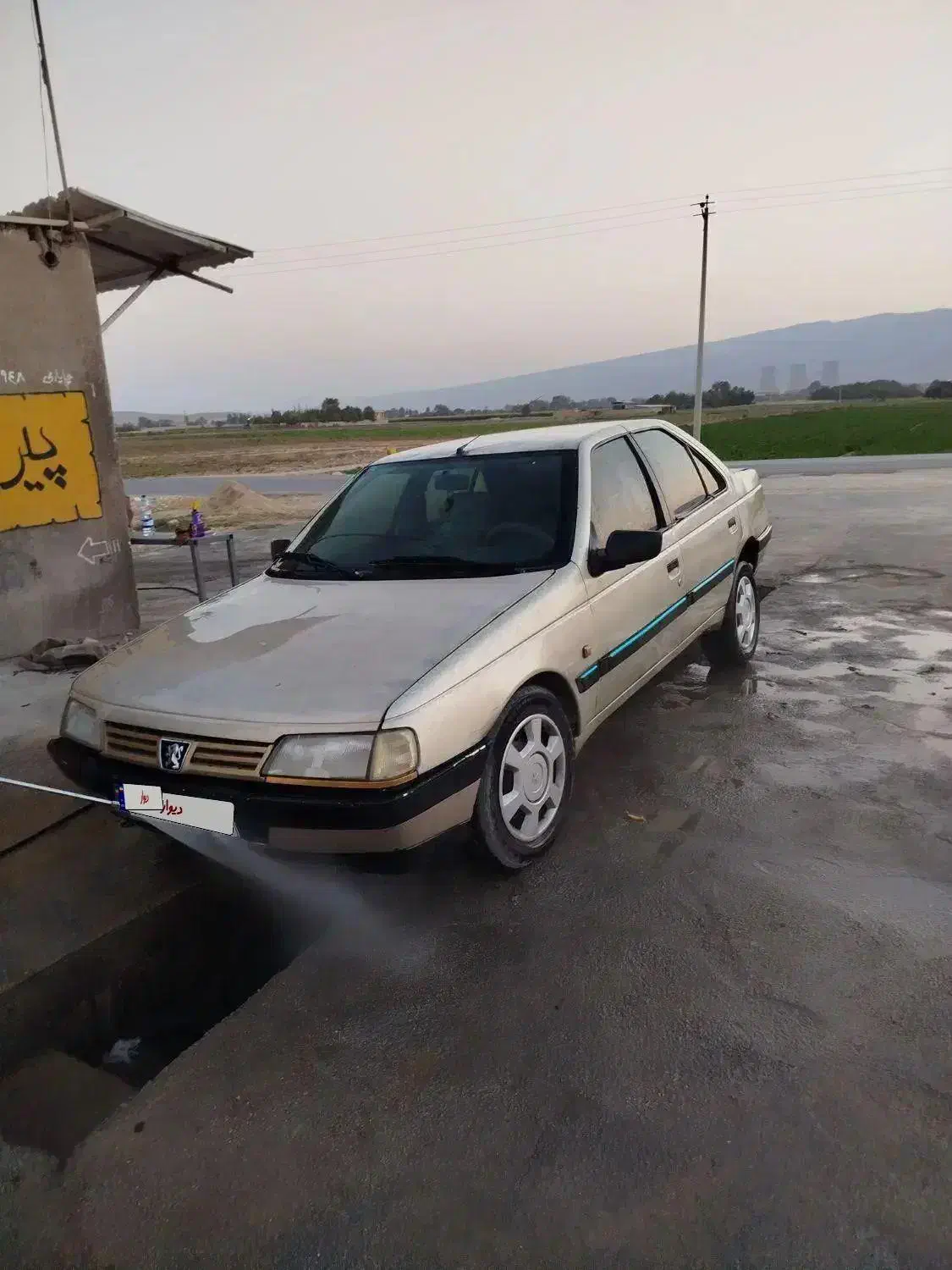 پژو 405 مدل 83|خودرو سواری و وانت|شیراز, بید زرد|دیوار