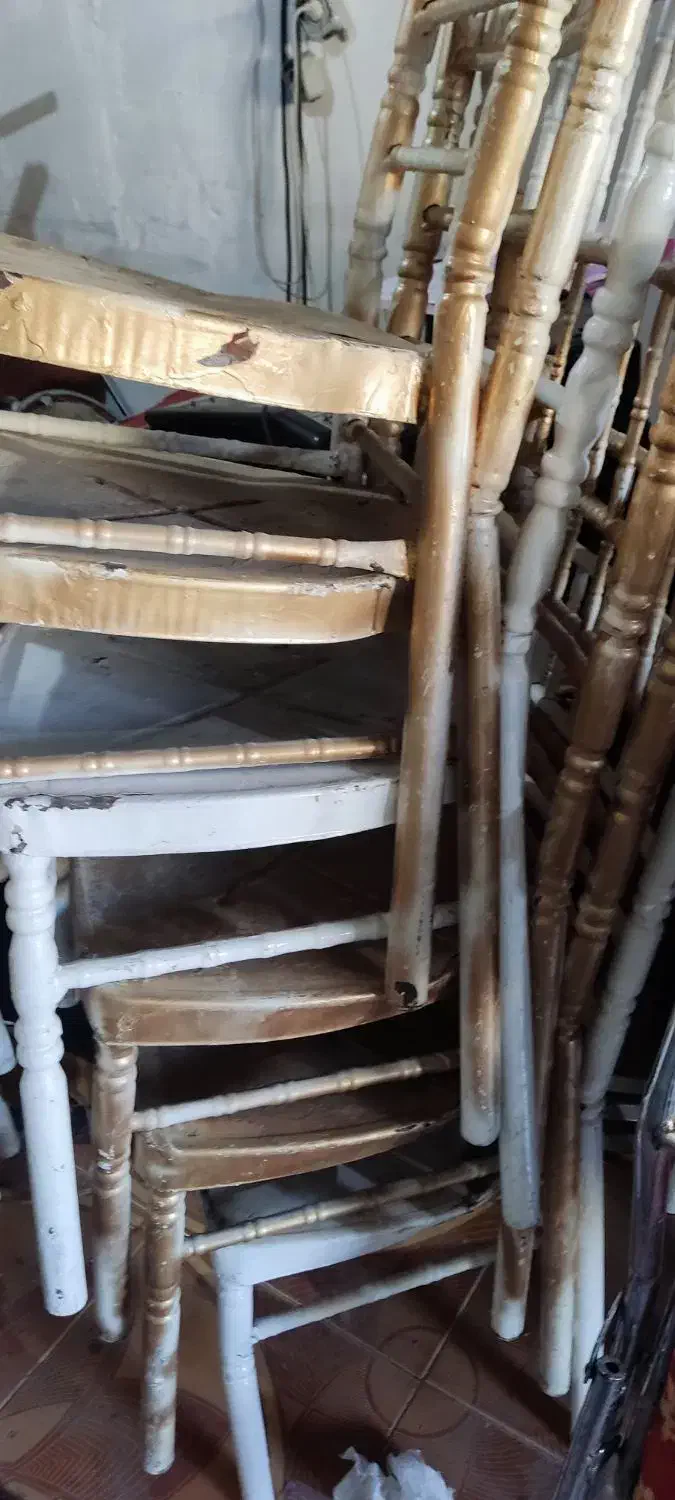 صندلی مجلسی شیواری 100عدد|صندلی و نیمکت|شیراز, بید زرد|دیوار