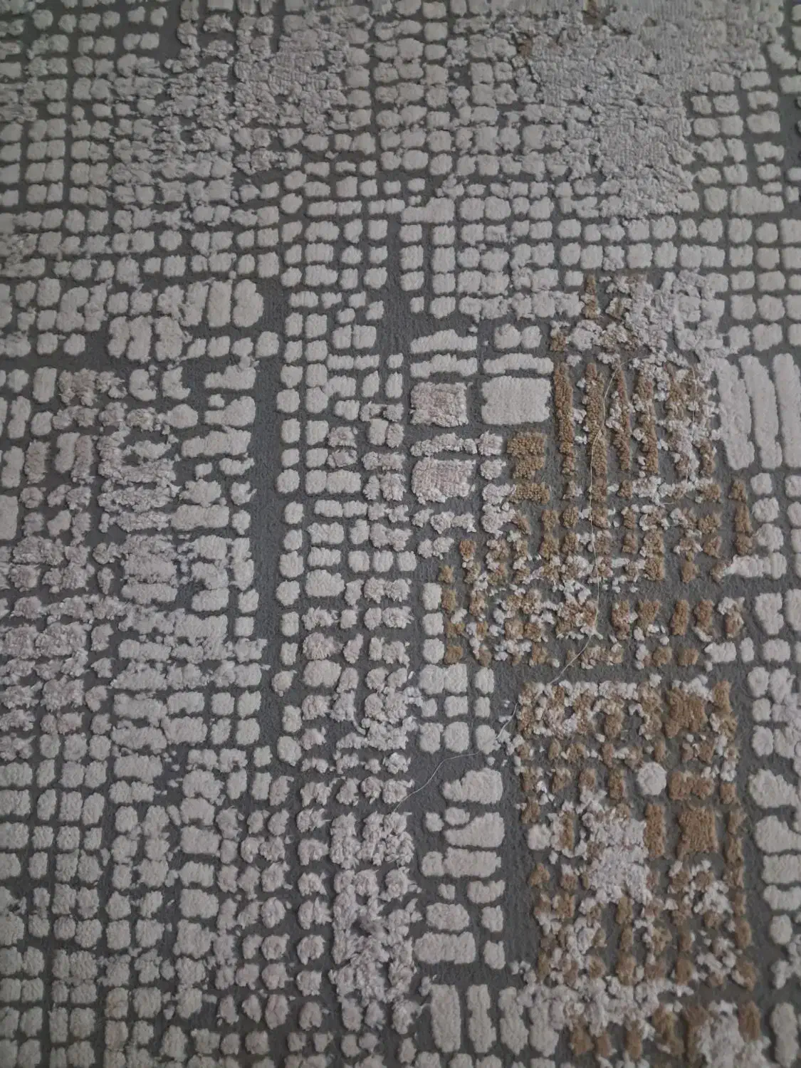 قا لیچه|فرش|ورامین, ورامین|دیوار