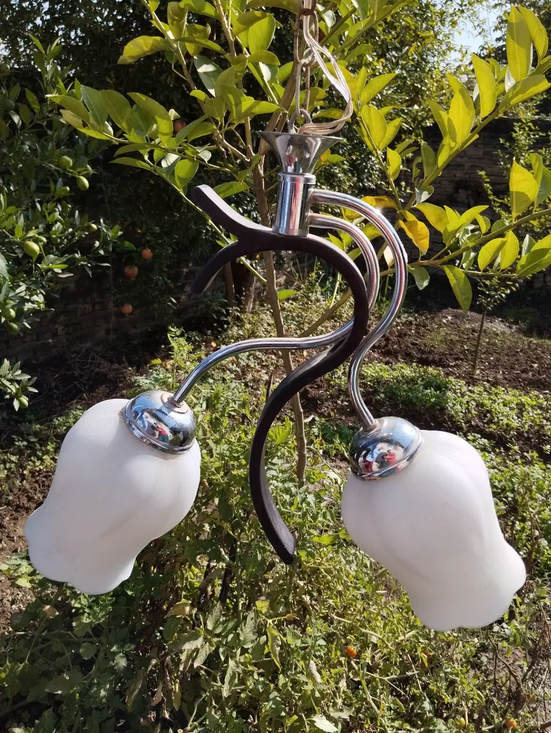 2 جفت لوستر 2 شاخه|لوستر و چراغ آویز|ساری, |دیوار