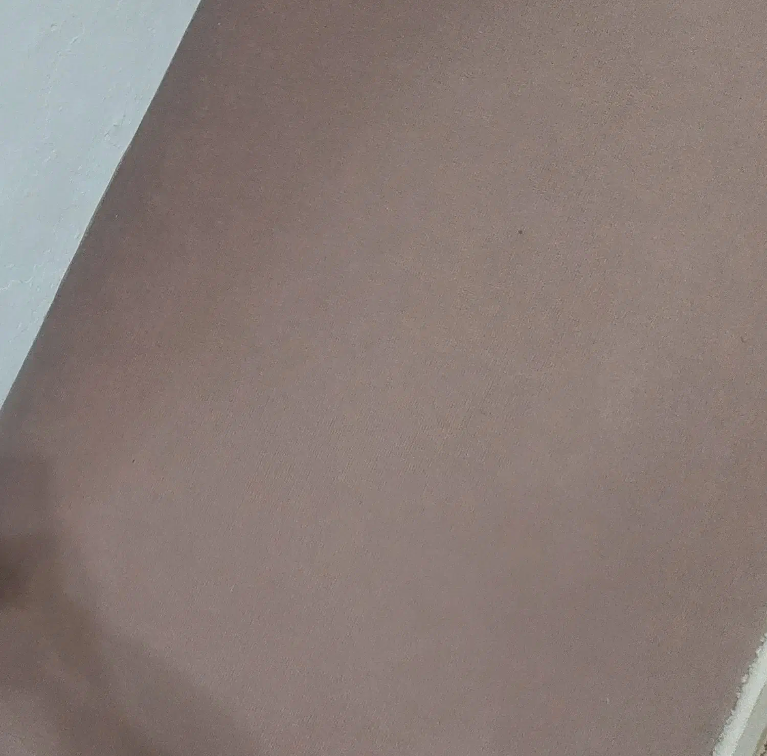 فروش موکت|موکت|بندر انزلی, باغ زمانی|دیوار