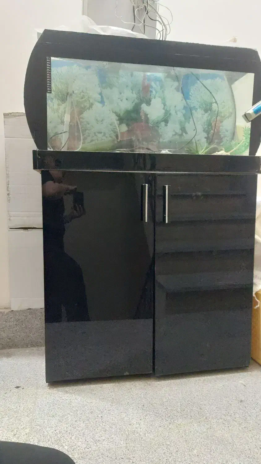 اکواریوم به همراه کمد ام دی اف|ماهی|مشهد, عامل|دیوار