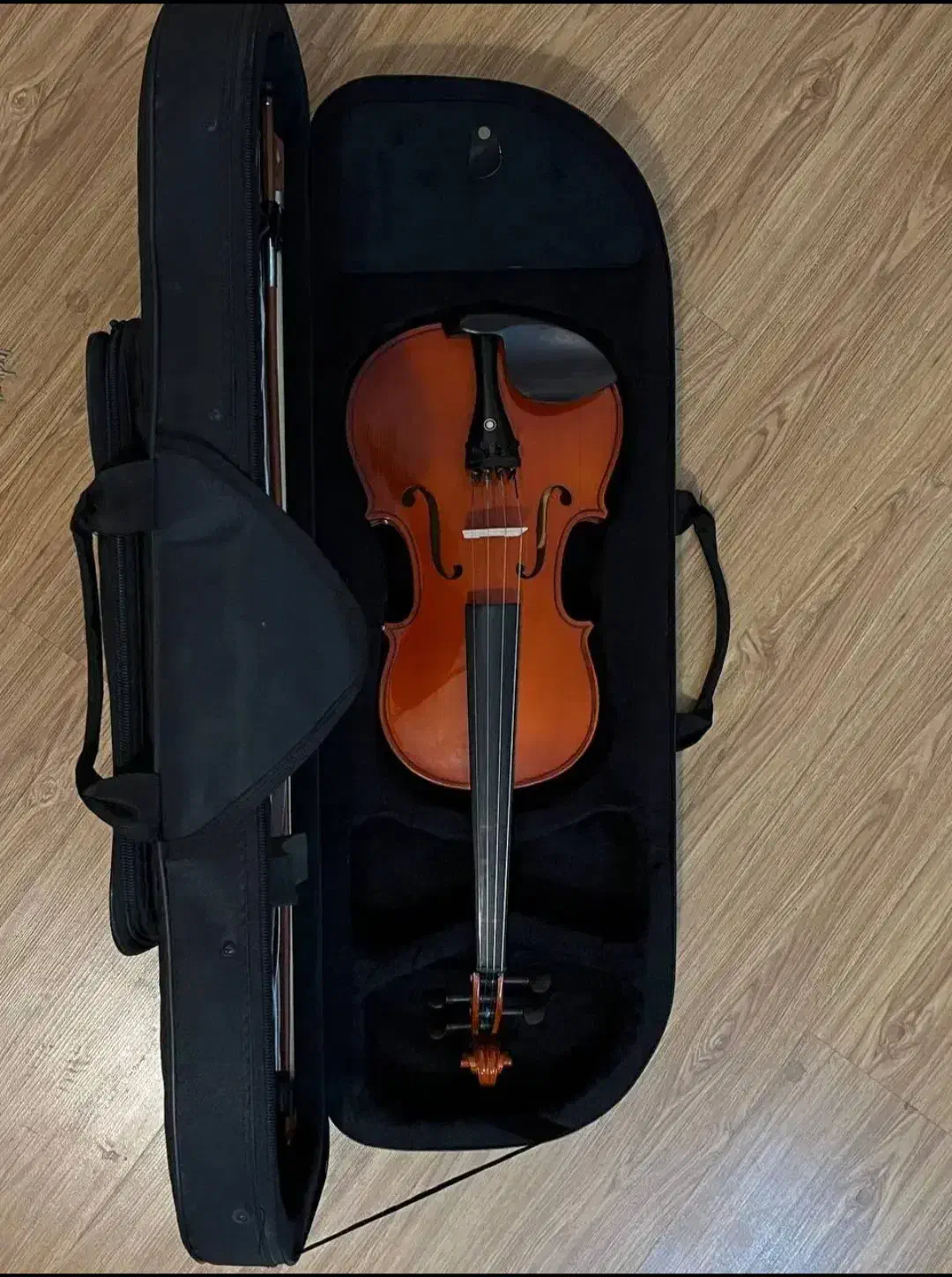 ویولن Locto|ویولن|اندیمشک, |دیوار