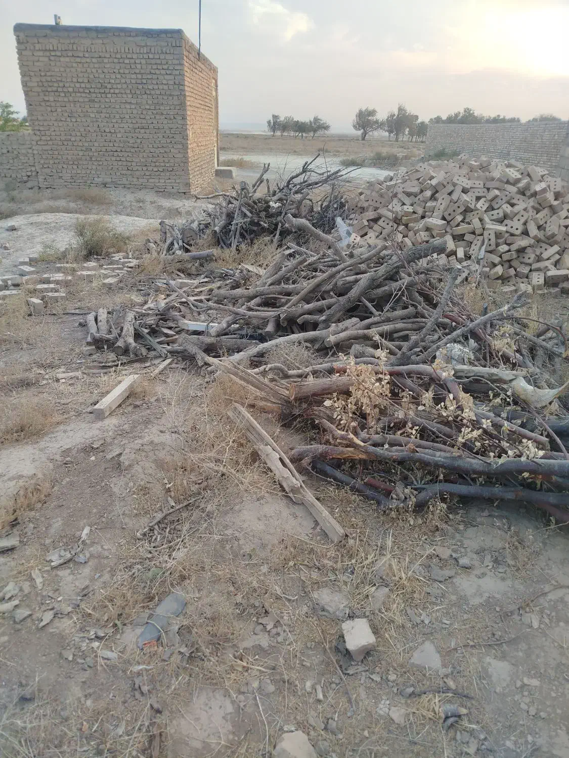 چوب برای ذغال|عمده‌فروشی|اسحاق آباد, |دیوار