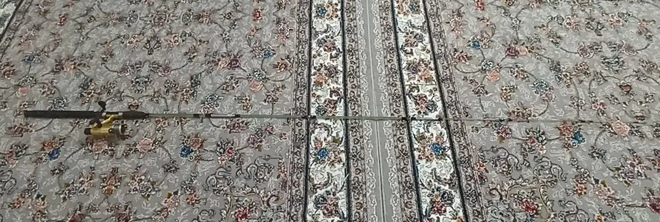 لنسر ماهی گیری|ماهیگیری|بوکان, |دیوار