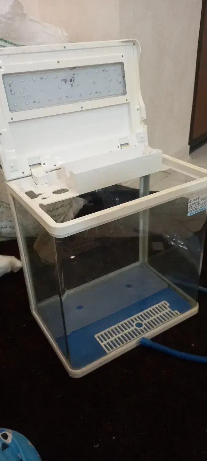 آکواریوم شرکتی|ماهی|ری, امین آباد|دیوار