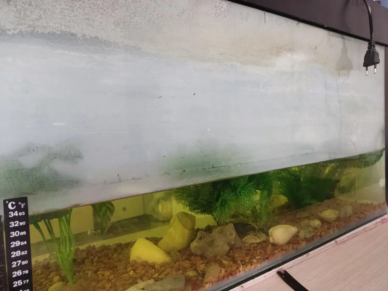 آکواریوم سالم با وسایل|ماهی|بهبهان, |دیوار