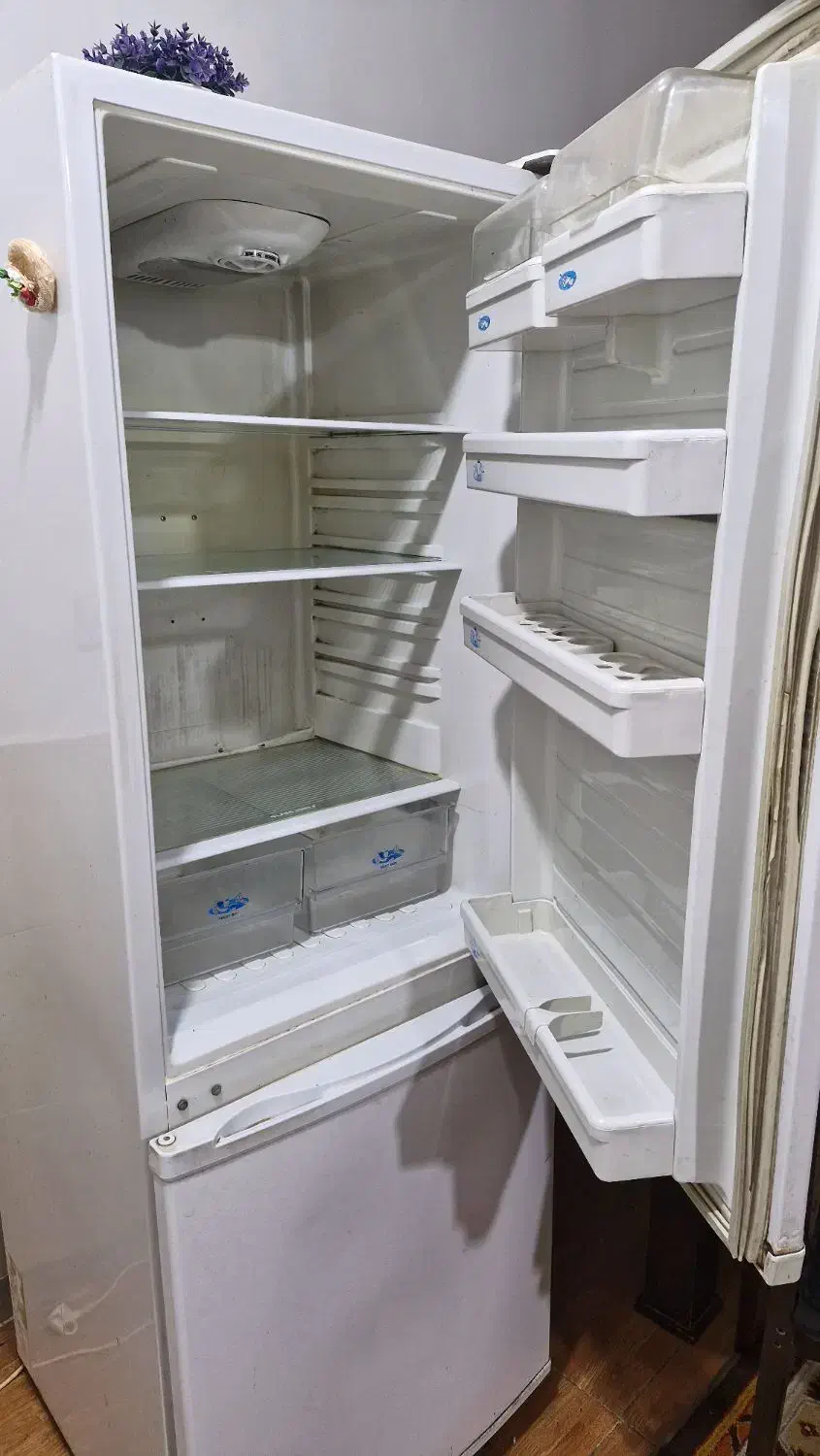 یخچال فریزر سینجر|یخچال و فریزر|قدس, شهر‌قدس|دیوار