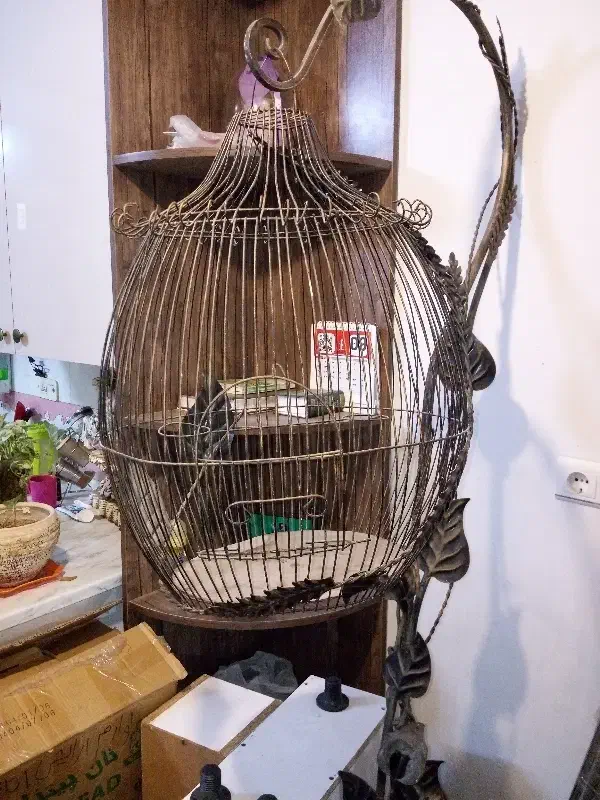 قفس پرنده|لوازم جانبی حیوانات|مشهد, مشکینی (شهرک غرب)|دیوار