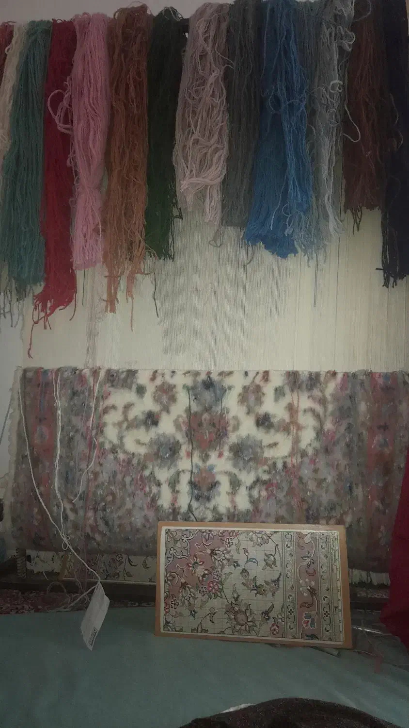 قالی چهار نشونی|فرش|اشکذر, |دیوار