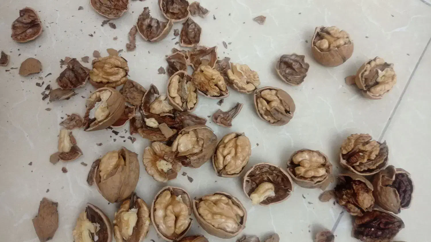 گردو باپوست تویسرکان پوست کاغذی|خوردنی و آشامیدنی|تهران, خاک سفید|دیوار