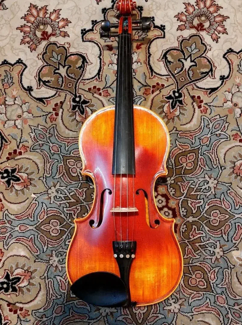 ویلن|ویولن|اراک, |دیوار