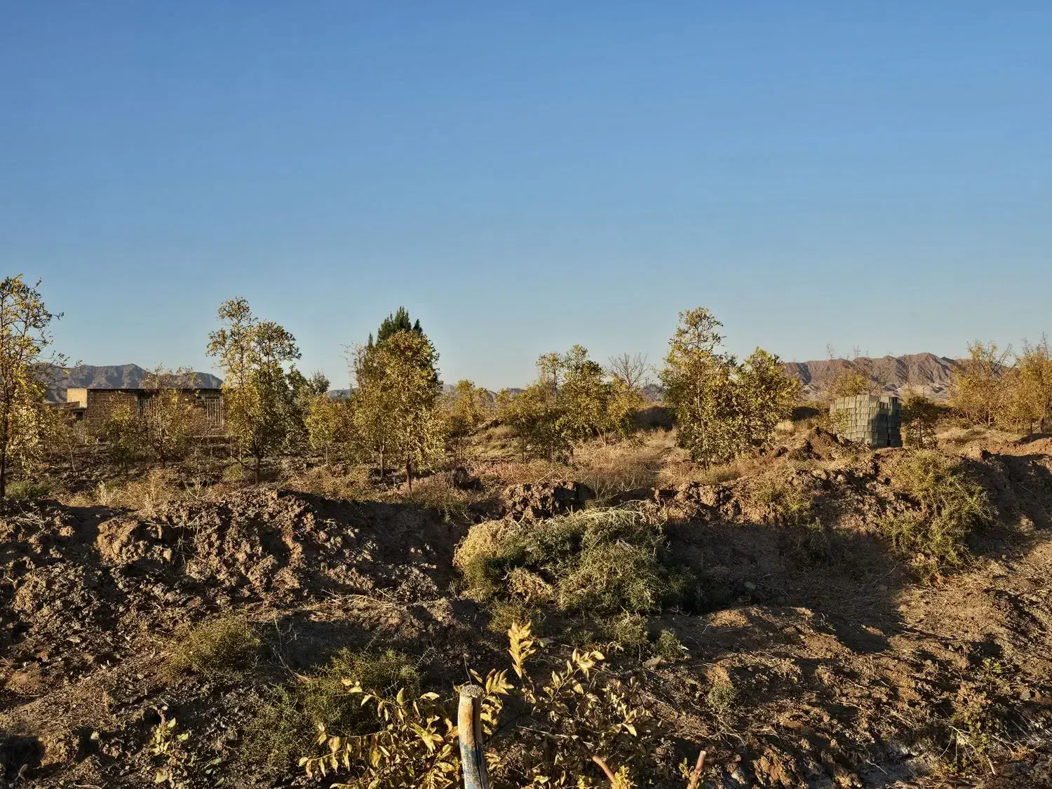 تانکر|مصالح و تجهیزات ساختمان|خوسف, |دیوار