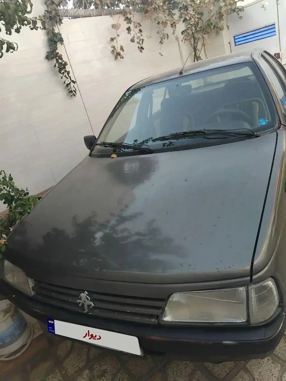 روآ۸۶متور فنی خوب وسالم لاستیکها ۷۰درصد|خودرو سواری و وانت|تربتحیدریه, باغ سلطانی|دیوار