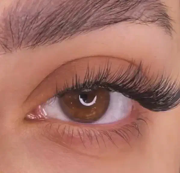 اکستنشن مژه با نصف قیمت|خدمات آرایشگری و زیبایی|قائن, |دیوار