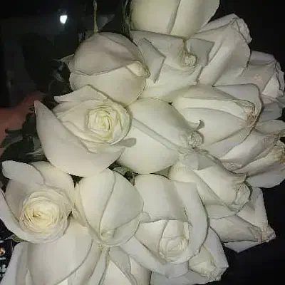 سرکتاب دعا|کتاب و مجله مذهبی|نور, |دیوار