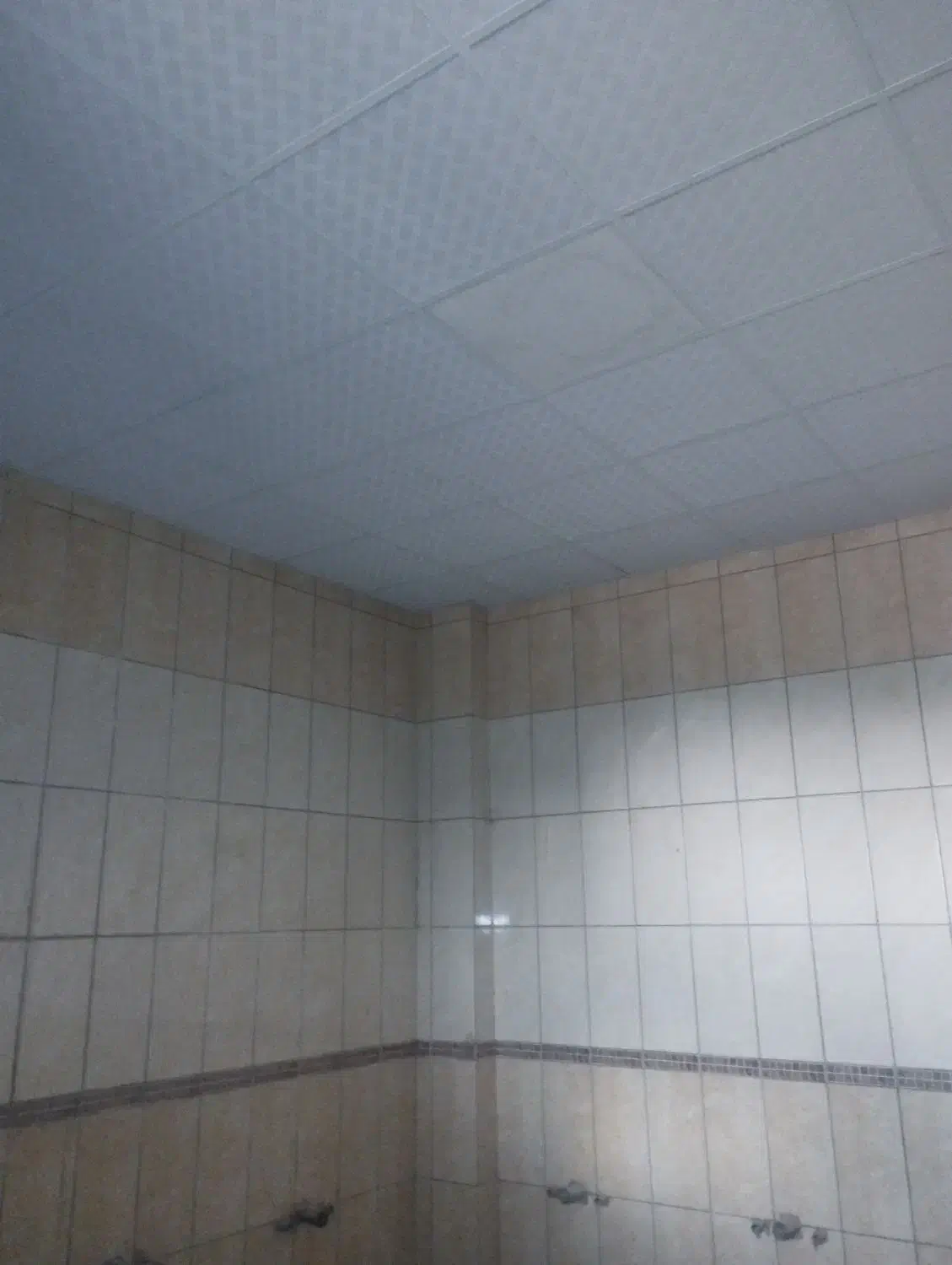 نصاب ونصب سقف کاذب تایل ودامپا|خدمات پیشه و مهارت|شیراز, ترمینال باربری|دیوار