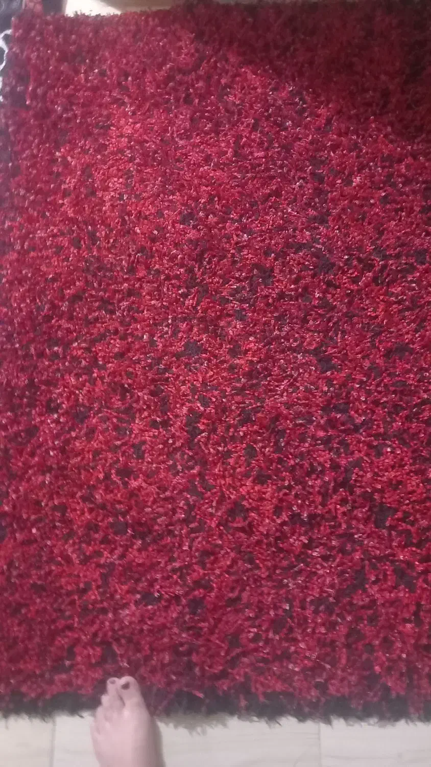 فرش نو|فرش|جیرفت, |دیوار